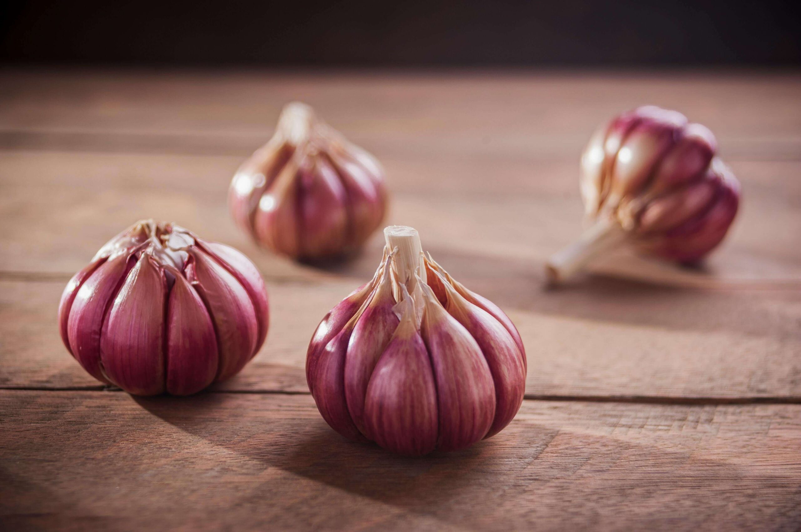 purple garlic