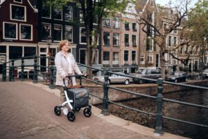 nuna travel stroller